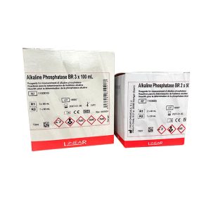 Alkaline Phosphatase